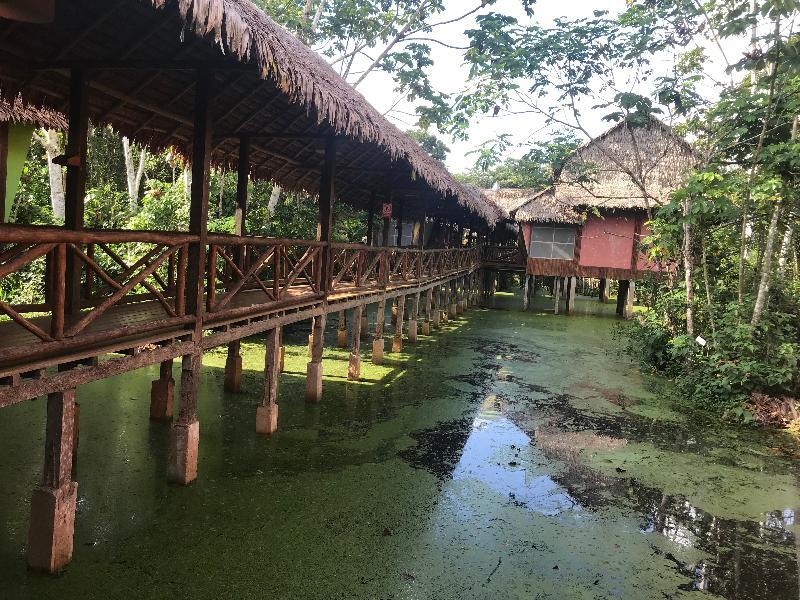 Heliconia Amazon River Lodge Francisco de Orellana Bagian luar foto